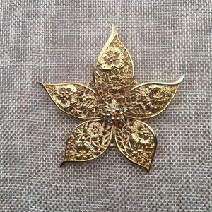 Golden Star Brooch